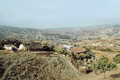 La ferme aux chiens