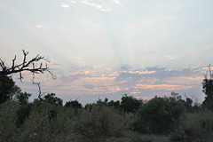 Sunsubiro. Okavango-Delto