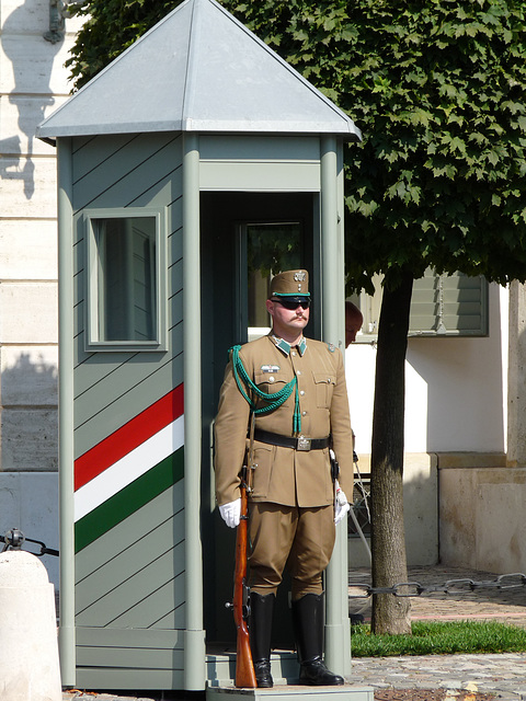 Budapest- Guarding the Presidential Palace