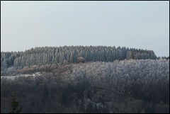 hiver 2016- givre sur le plateau