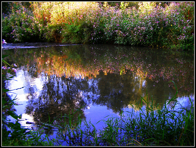 Balsemien River