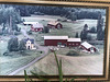 Mona's farm in the summer