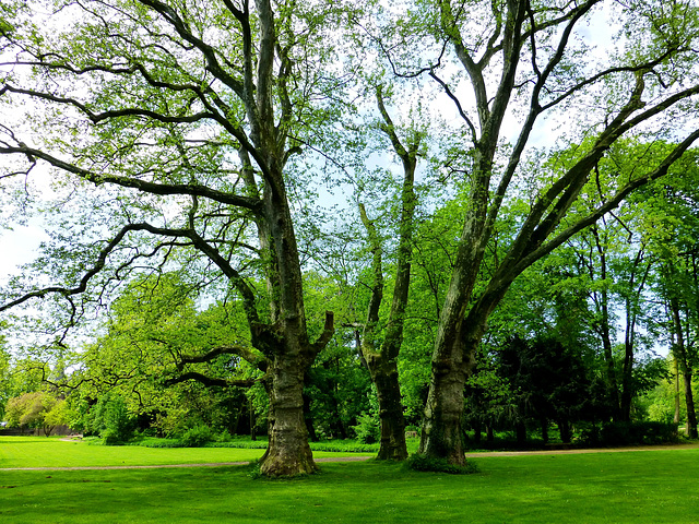 DE - Bergheim - Park of Schloss Paffendorf