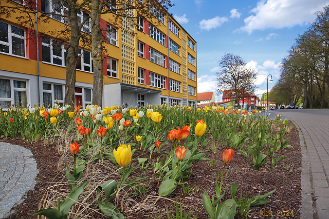 Gnoien, Warbel-Schule