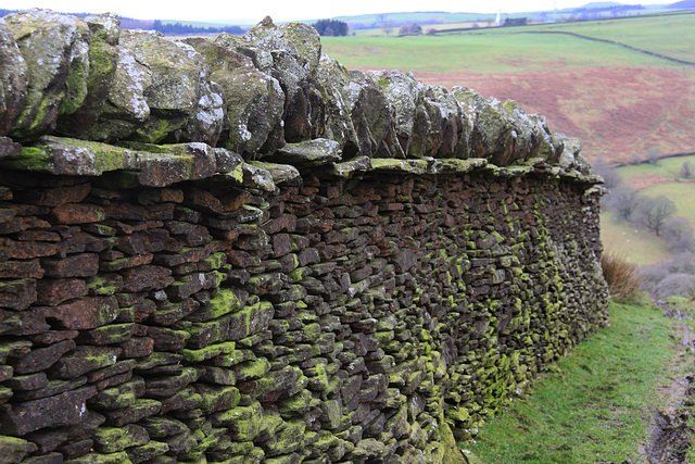 Drystone wall