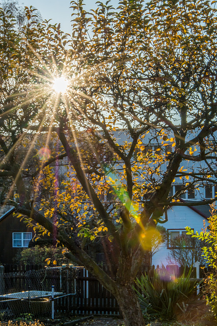 Herbstsonne