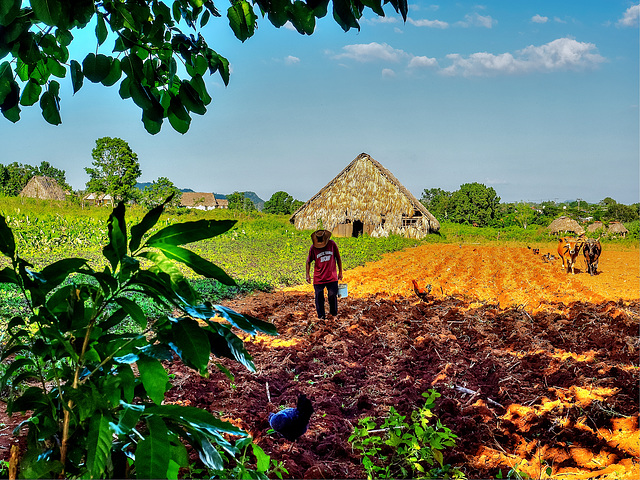 Valle de Viñales, Cuba