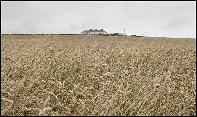 Big house on the prairie