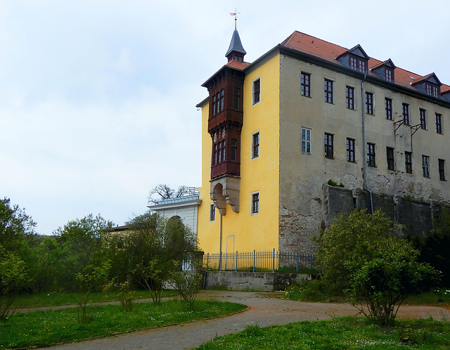 Schlossdetail derer von Anhalt (Ballenstedt)