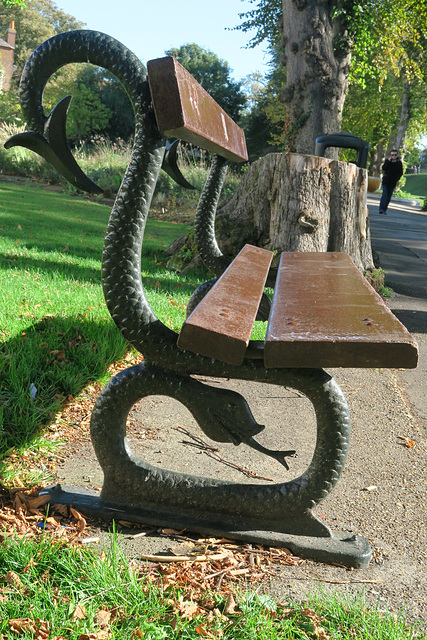 IMG 1845-001-Snake Bench