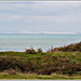 Vue depuis le Cap Gris Nez ( côte d'Opale)