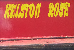 Kelston Rose