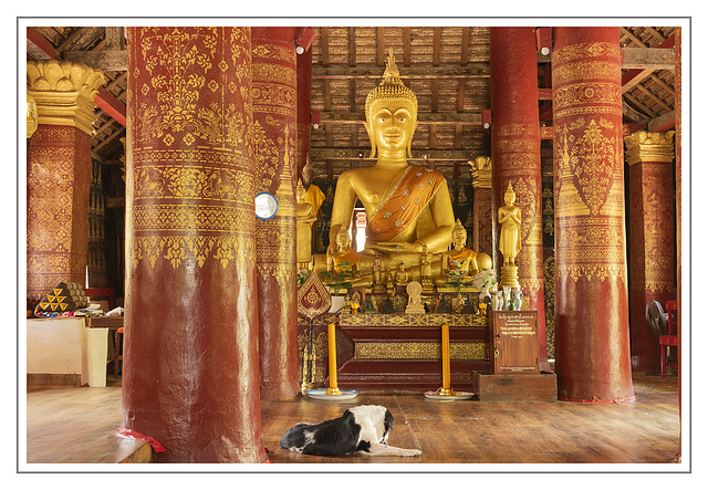 Watchdog in Wat Pak Khan Khammungkhun in Luang Prabang / Laos