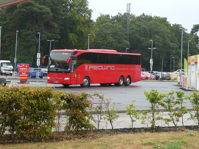 REL Redwing BN17 JKV at Fiveways, Barton Mills - 24 Aug 2024 (P1190318)