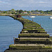 The Old Railway Bridge