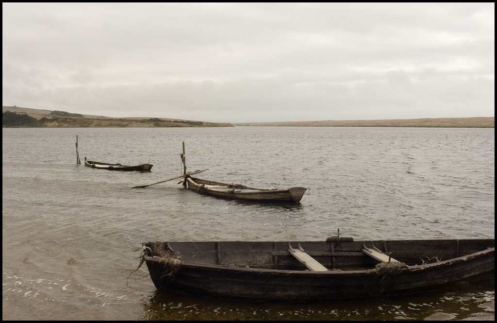 Fishing boats I