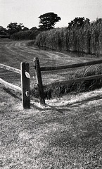 Fence
