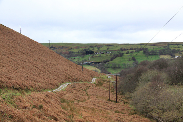 Hillside track