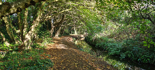 Llantwit stream