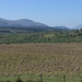 A look at the Ben Nevis from the north