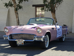 Pink Thunderbird (1) - 8 November 2015