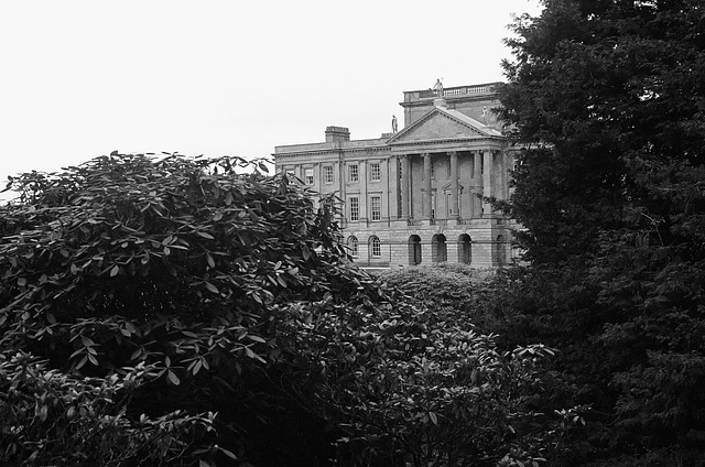 Grand House behind the trees at Lyme Park