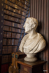 Marble bust of the Duke of Wellington in Trinity College Dublin - the Old Library