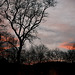 Come, morning...