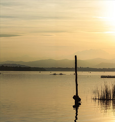 Qualunque cosa o persona abbandonata ha una sua storia ...