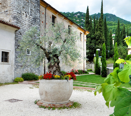 Auf dem Kirchplatz der Kirche San Giovanni Battista in Pieve. ©UdoSm