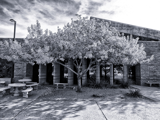 Outside The Library