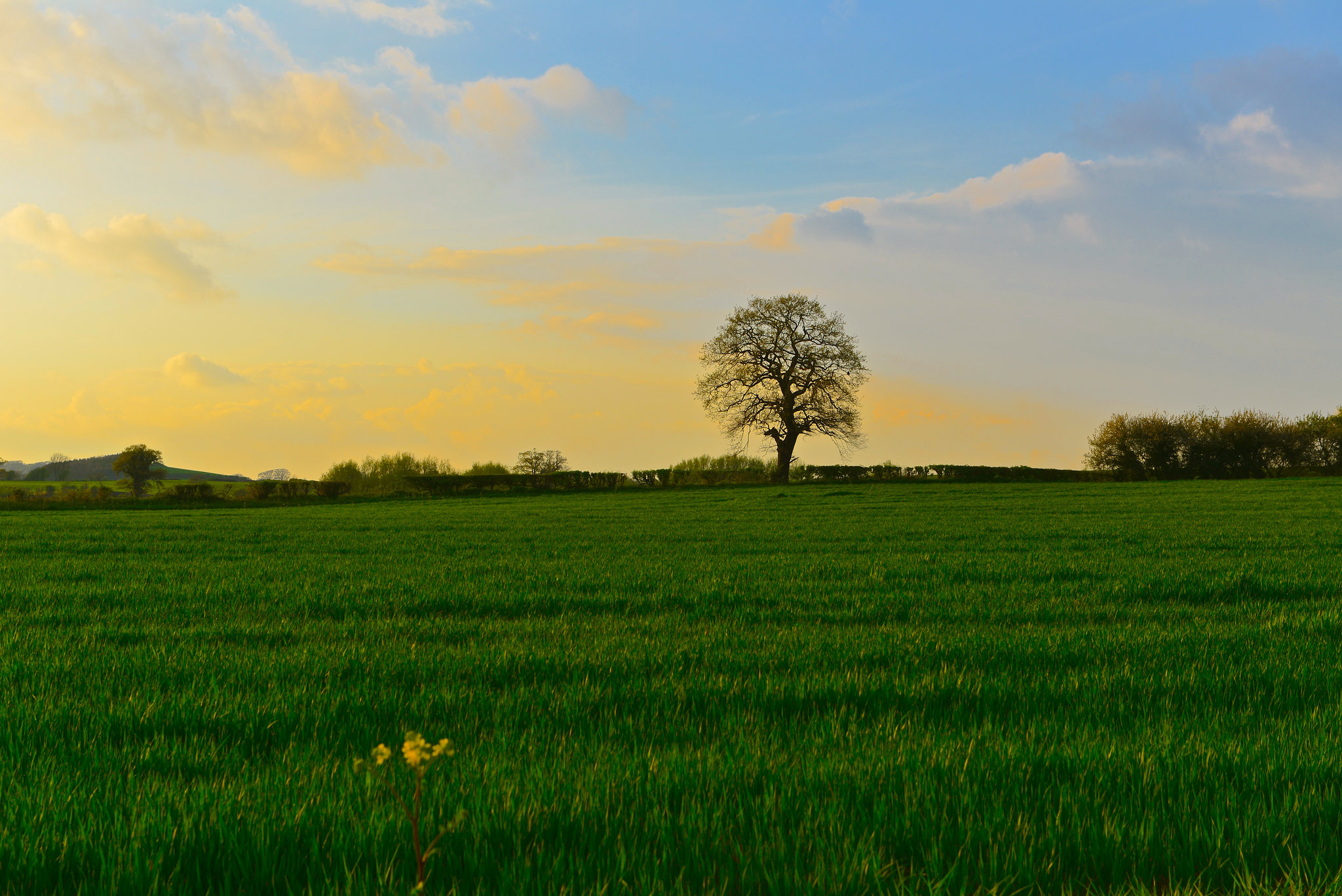 Evening sky, Gnosall