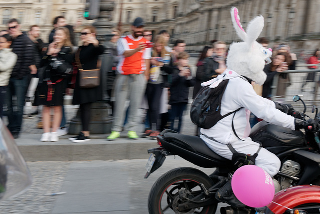 Au revoir, petit lapin !