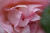 DSCF5682