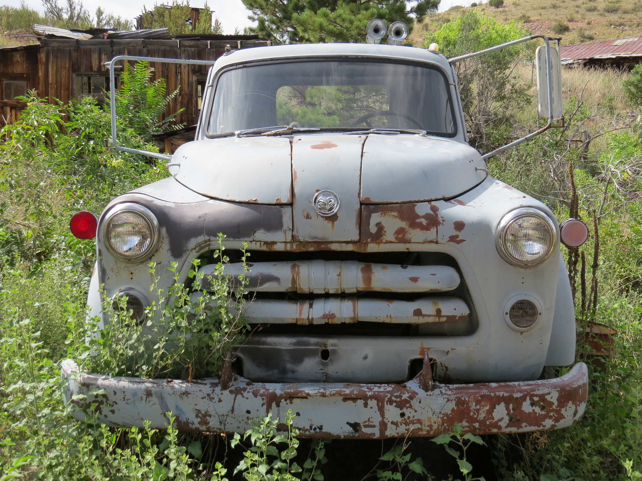 1954-1956 Dodge Job Rated Truck