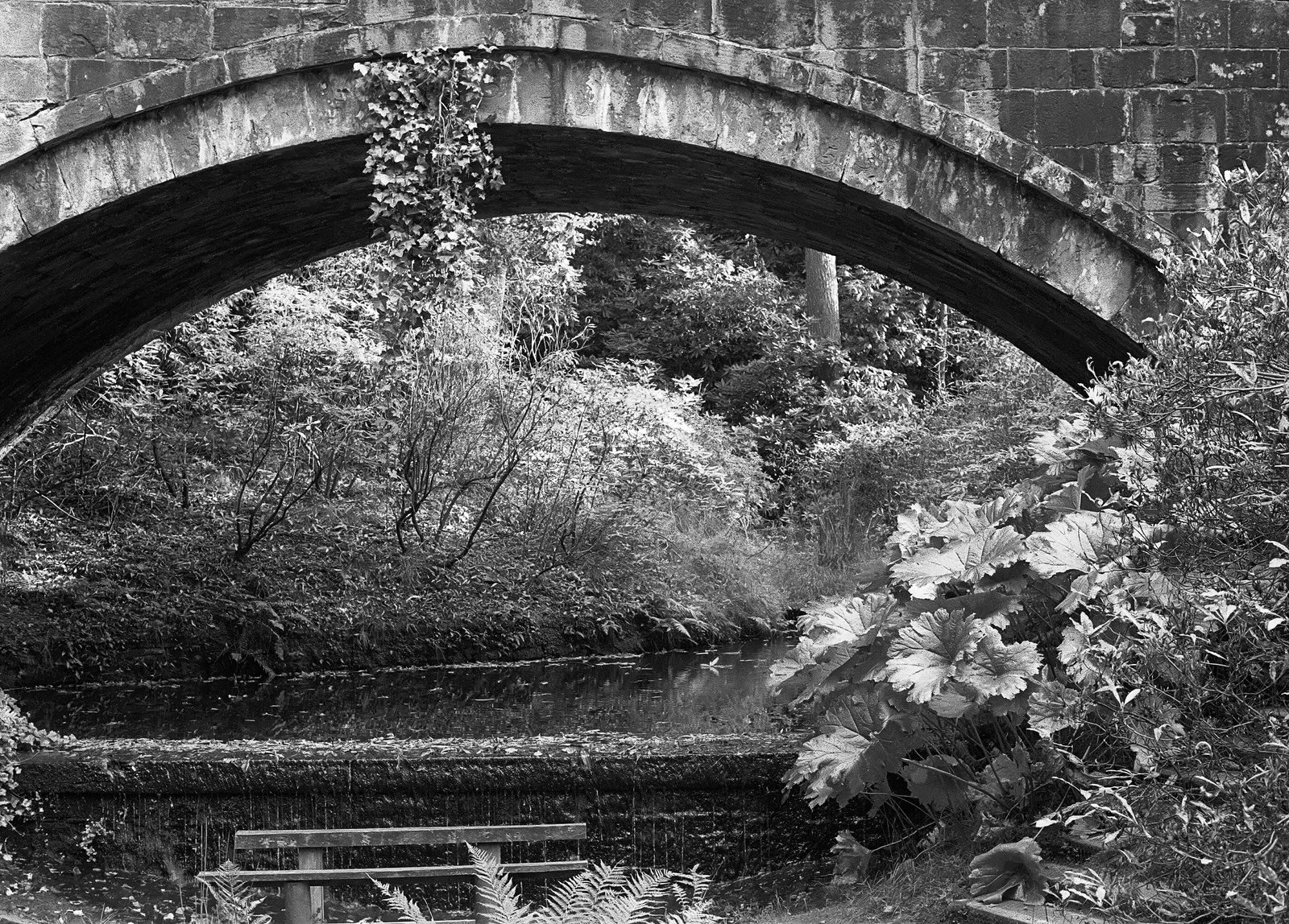 Under the Bridge at Lyme Park