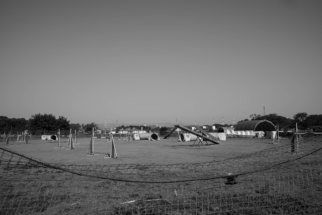 Agility course for dogs