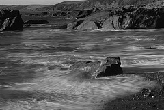DSC 0048-bw