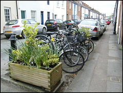Bridge Street cycle parking