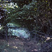 Boundary 38 July 1969 slide 25