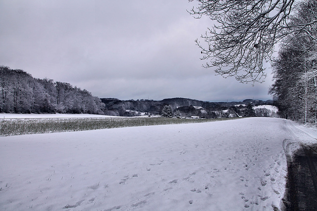 Zur Hütte (Sprockhövel-Herzkamp) / 15.01.2024