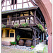 Eguisheim Herbst 24