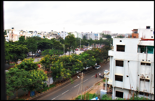 Window view