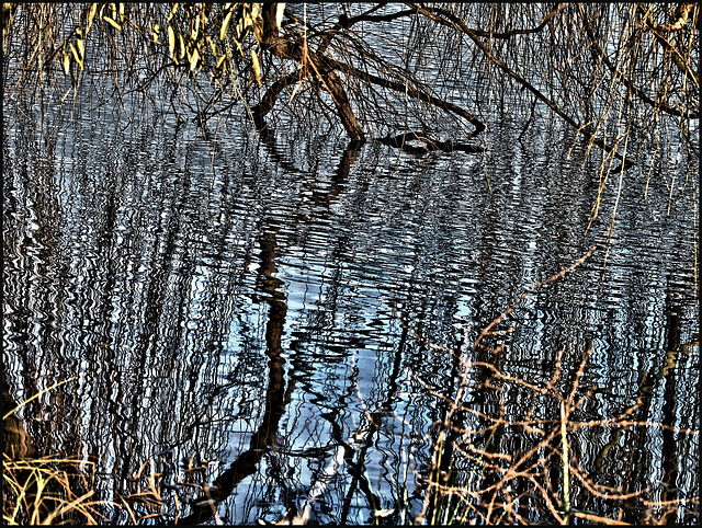 Winterwasser Winterwasser