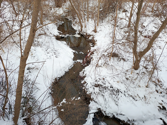 Gurgling creek.