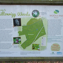 mrw - Welcome ! [1 of 19]