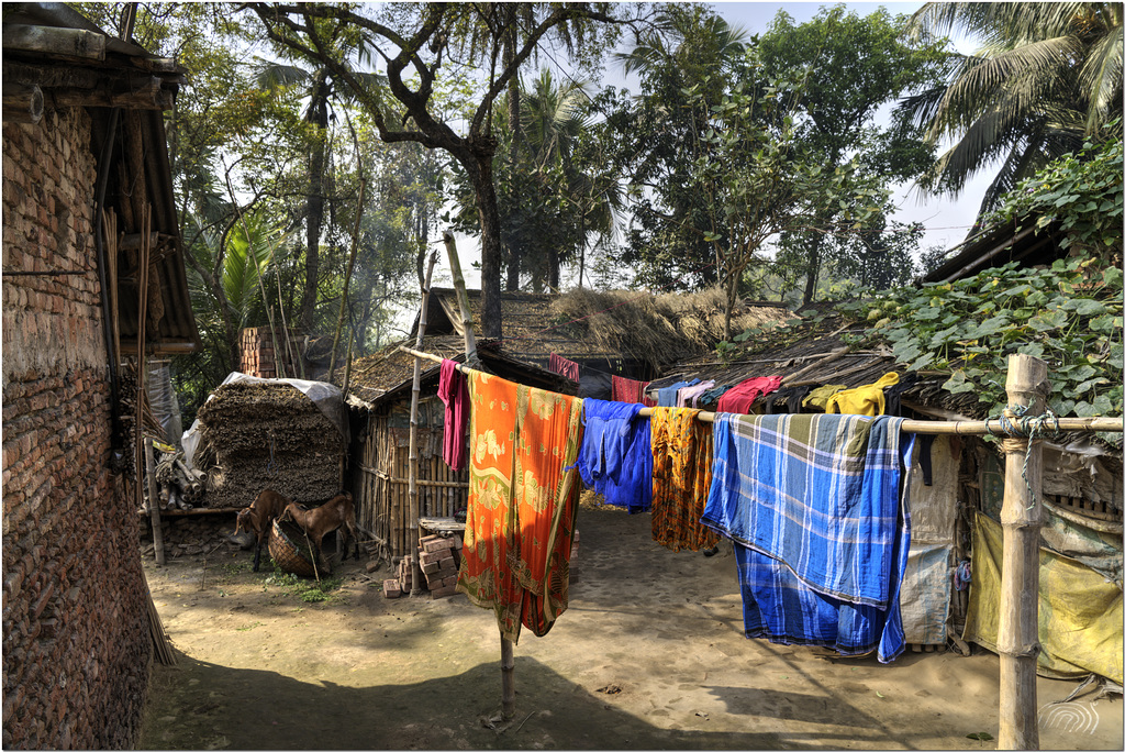 Washing Day