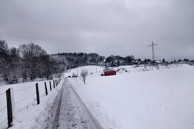 Großer Siepen (Sprockhövel-Herzkamp) / 15.01.2024