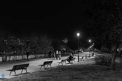 À travers le Paris nocturne