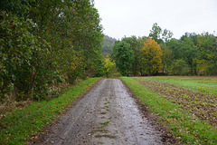 A Walk in the Rain II